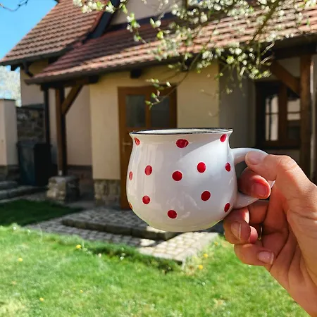 Holiday home Kozlovna *