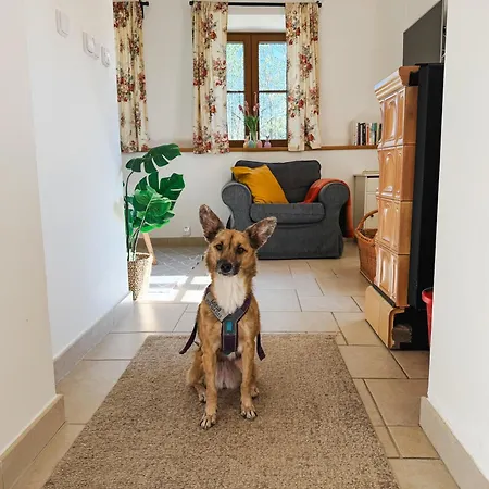 Casa de Férias S Vlastním Koupáním A Rozlehlou Zahradou Varvazov